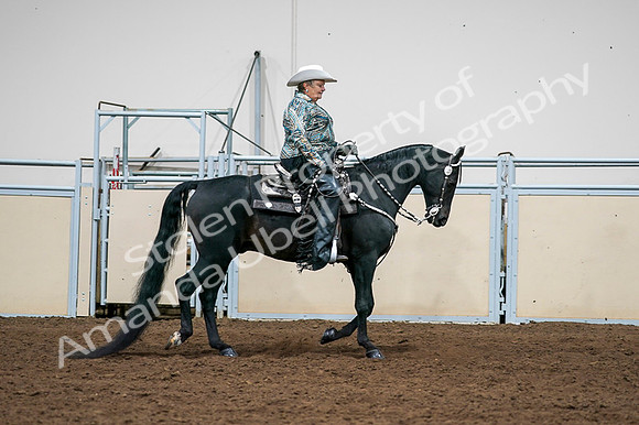 2020 - AB Morgan Horse - Fri, Sept 04 - 03535