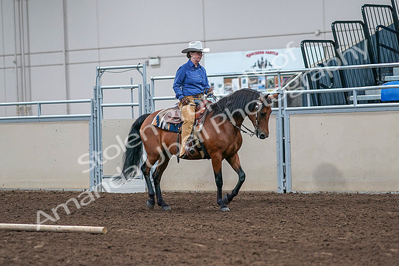2020 - AB Morgan Horse - Fri, Sept 04 - 00190