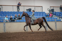 2019 Morgan Horse Show - Aug 31, 2019 - 07660