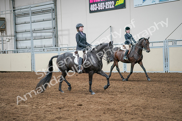2020 - AB Morgan Horse - Sun, Sept 06 - 08134
