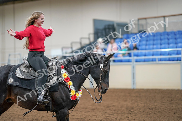 2020 - AB Morgan Horse - Sat, Sept 05 - 10557