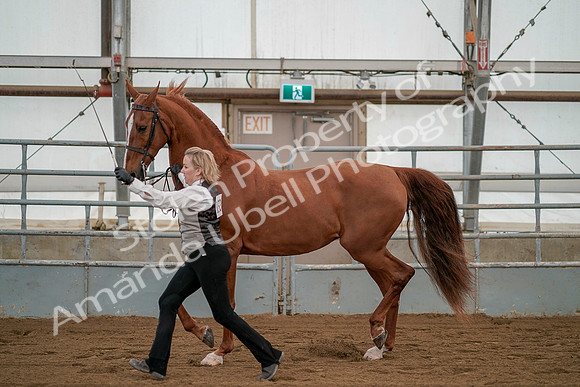 July 19, 2019 - 1368