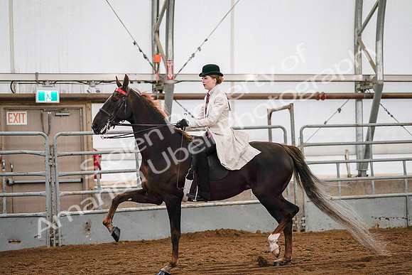 July 19, 2019 - 8992