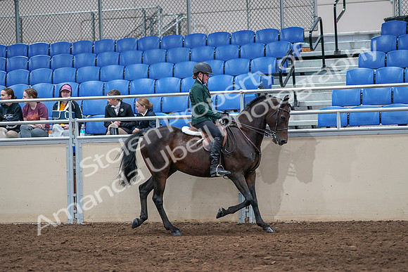 2020 - AB Morgan Horse - Sat, Sept 05 - 05162