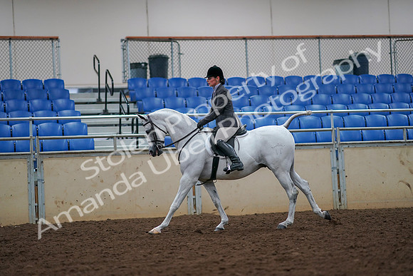2019 Morgan Horse Show - Aug 30, 2019 - 17445