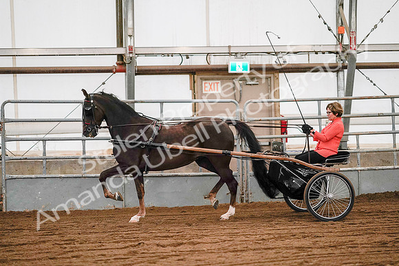 July 19, 2019 - 6991