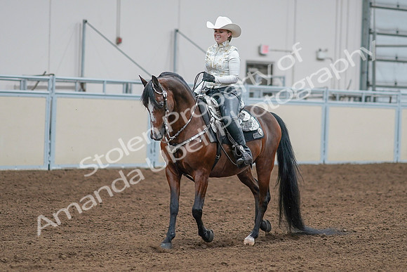 2020 - AB Morgan Horse - Sat, Sept 05 - 09022