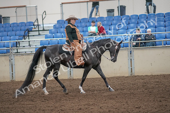 2019 Morgan Horse Show - Aug 31, 2019 - 06213
