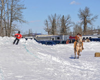 Bailey - 2020 - Skijor - Sat, Feb 22 - 01139