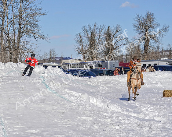Bailey - 2020 - Skijor - Sat, Feb 22 - 01139