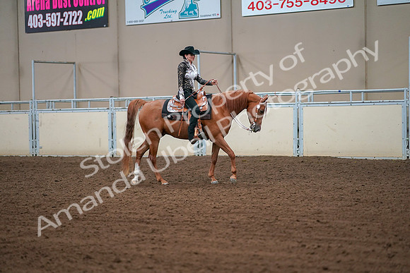 2019 Morgan Horse Show - Aug 30, 2019 - 16913
