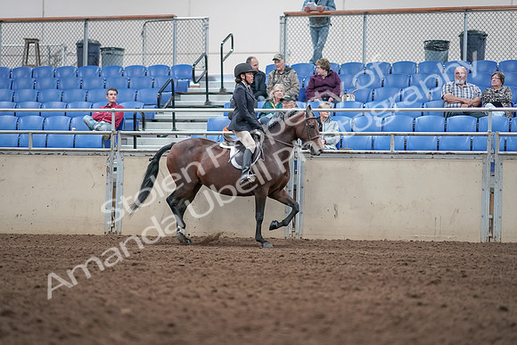2019 Morgan Horse Show - Aug 31, 2019 - 19592