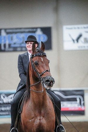 Spring Fling - Saturday - April 20, 2019  -  00872