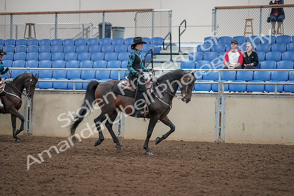 2019 Morgan Horse Show - Aug 30, 2019 - 26167