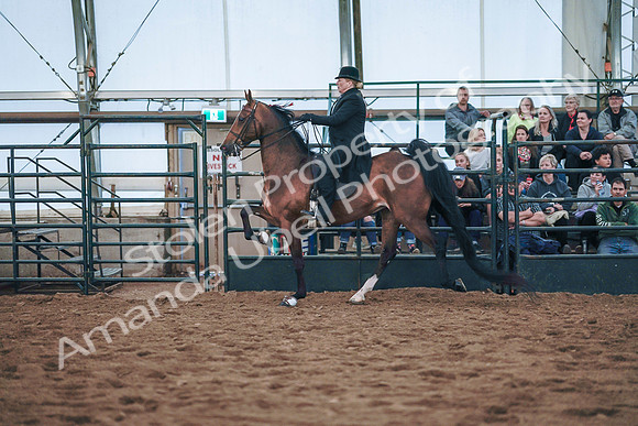 July 20, 2019 - 24187