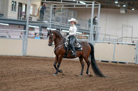 2020 - AB Morgan Horse - Fri, Sept 04 - 08239