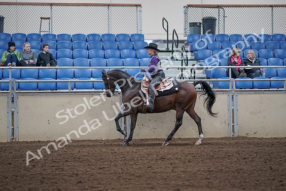 2019 Morgan Horse Show - Aug 31, 2019 - 10639