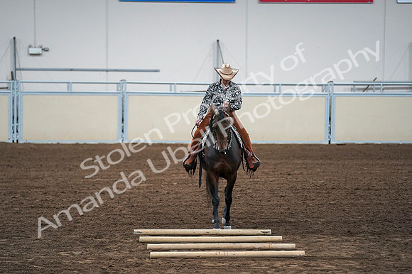 2020 - AB Morgan Horse - Fri, Sept 04 - 00428