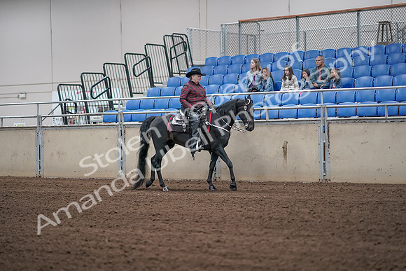 2019 Morgan Horse Show - Aug 31, 2019 - 10665