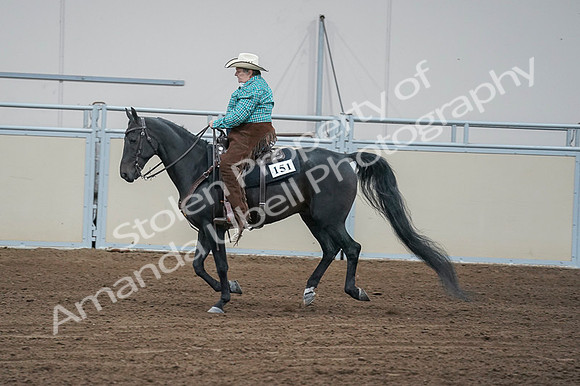 2020 - AB Morgan Horse - Fri, Sept 04 - 00479