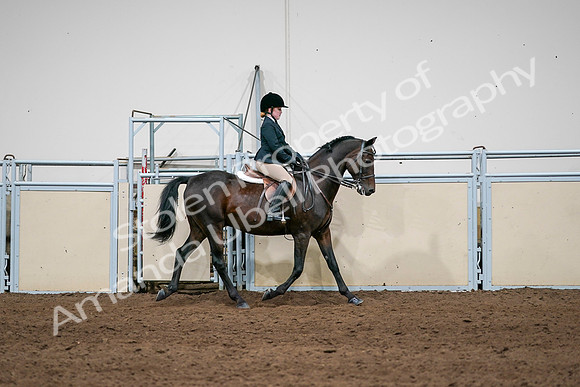 2020 - AB Morgan Horse - Sun, Sept 06 - 07968