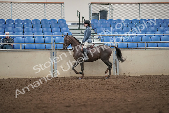 2019 Morgan Horse Show - Aug 31, 2019 - 04908