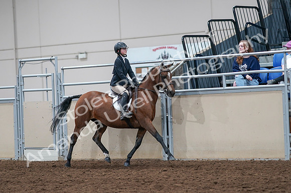2020 - AB Morgan Horse - Fri, Sept 04 - 02175