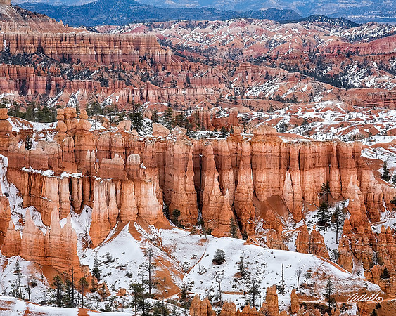 Feb 20 2017 - 9276