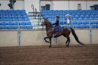 2019 Morgan Horse Show - Sept 01, 2019 - 12753