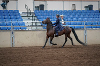 2019 Morgan Horse Show - Sept 01, 2019 - 12751