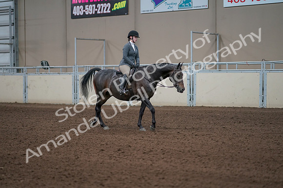 2019 Morgan Horse Show - Sept 01, 2019 - 11072