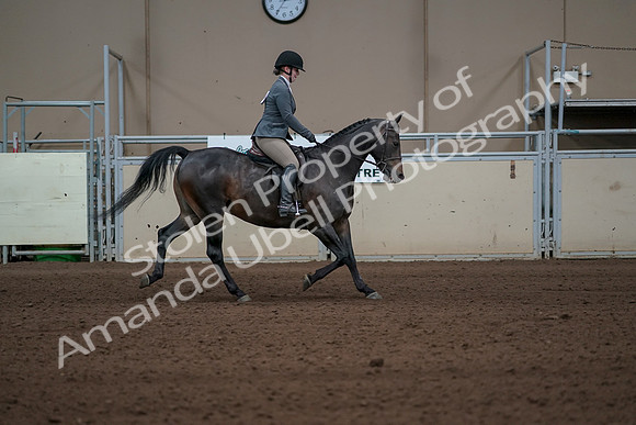 2019 Morgan Horse Show - Sept 01, 2019 - 11060