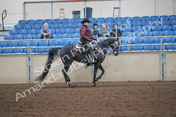 2019 Morgan Horse Show - Aug 31, 2019 - 10676