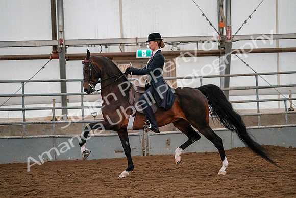 July 19, 2019 - 10558