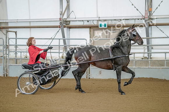 July 20, 2019 - 08765
