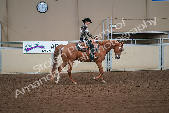 2019 Morgan Horse Show - Aug 30, 2019 - 17023