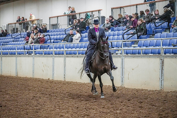 Spring Fling - Saturday - April 20, 2019  -  04472