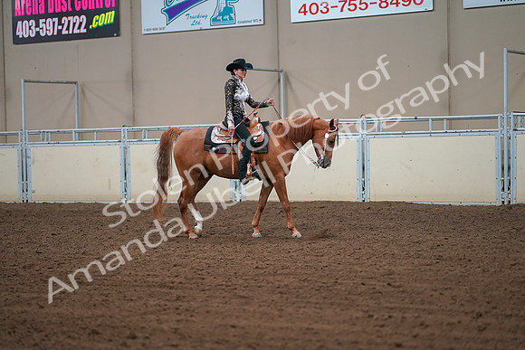 2019 Morgan Horse Show - Aug 30, 2019 - 16917