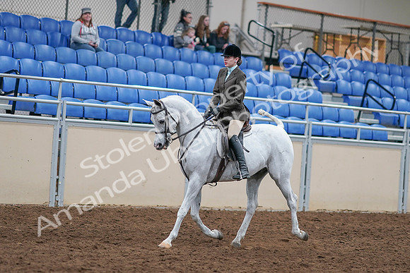 2020 - AB Morgan Horse - Sat, Sept 05 - 14234