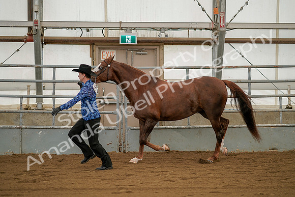 July 19, 2019 - 1298