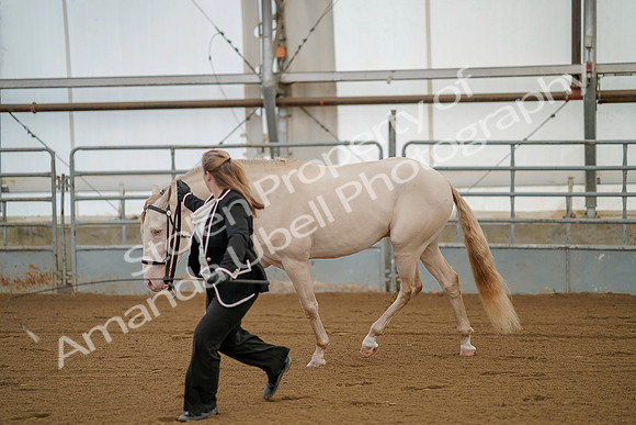July 19, 2019 - 356