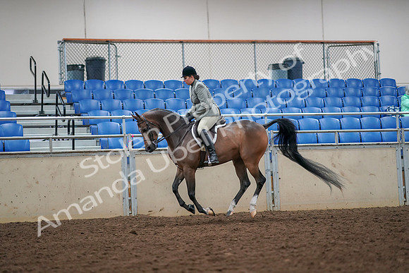 2019 Morgan Horse Show - Aug 30, 2019 - 17465