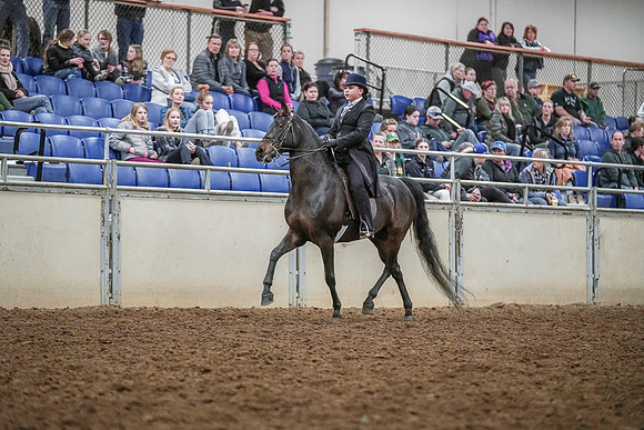 Spring Fling - Saturday - April 20, 2019  -  04291