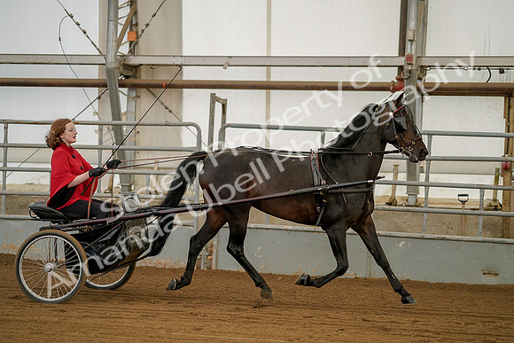 July 20, 2019 - 00215