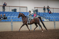 Class 093 - All Breed Walk Trot Saddle Seat Equitation 11 & Under