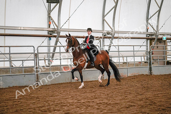 July 19, 2019 - 8707