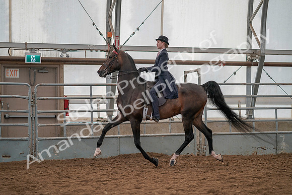 July 19, 2019 - 12911