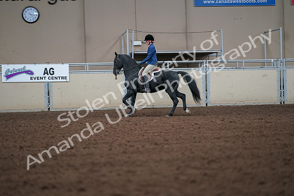 2019 Morgan Horse Show - Aug 30, 2019 - 18378