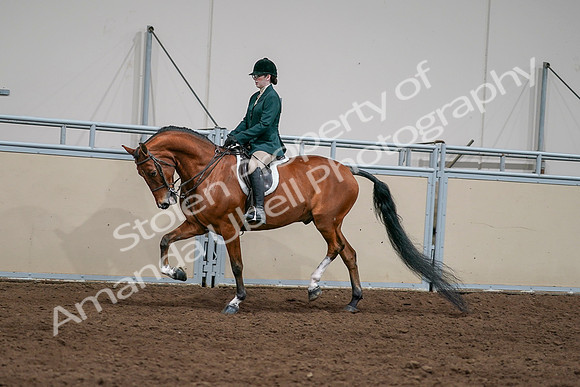 2020 - AB Morgan Horse - Sat, Sept 05 - 05017