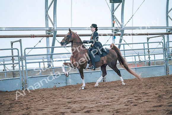 July 20, 2019 - 24134